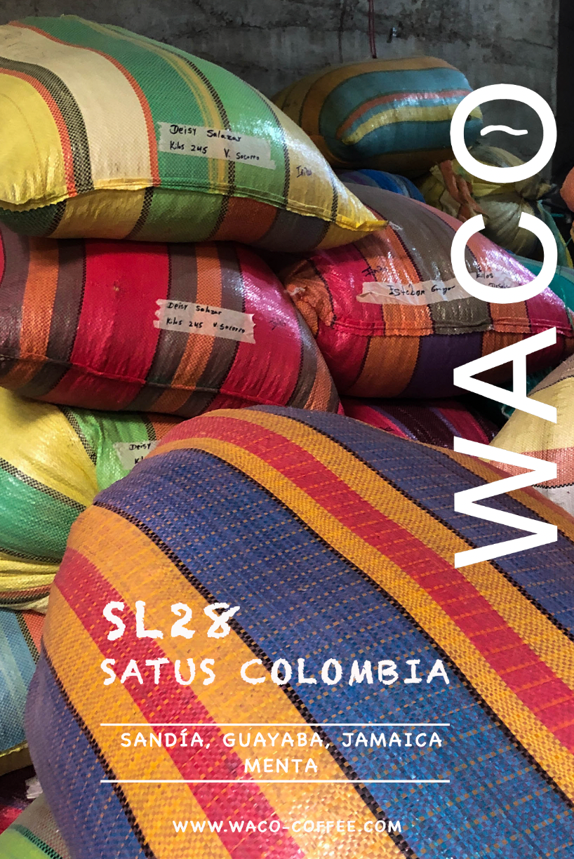 SL28 ~colombia~