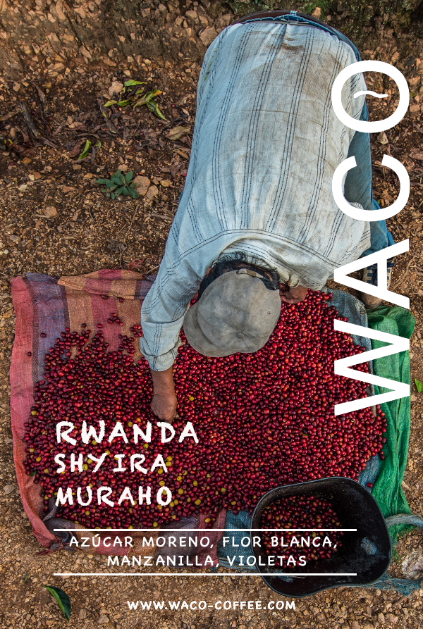 RWANDA SHYRA MURAHO