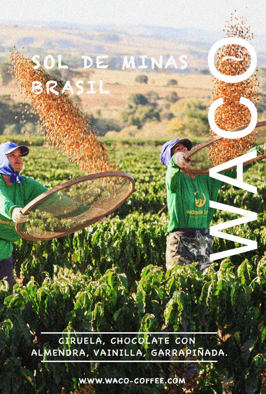 BRASIL - SOL DE MINAS