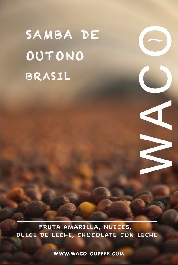 SAMBA DE OUTONO